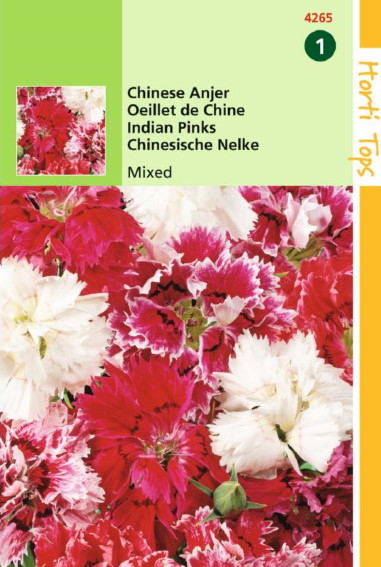China Pink (Dianthus chinensis) 675 seeds HT